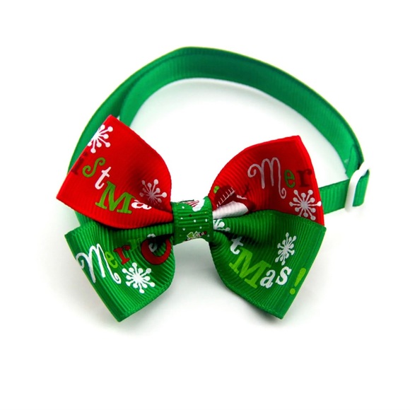 Pets collar - Picture 1 of 3